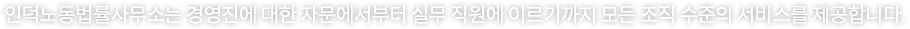 인덕노동법률사무소는 경영진에 대한 자문에서부터 실무 직원에 이르기까지 모든 조직 수준의 서비스를 제공합니다.